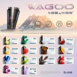 Kis5電子煙 Kiss拋棄式哇酷|WAGOO6500口一次性電子煙
